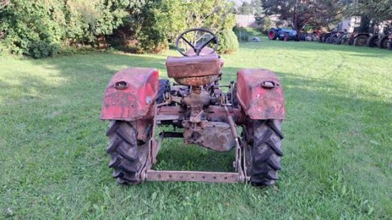 Traktor van het type Lindner BF 22 A Allrad, Gebrauchtmaschine in Stainach (Foto 3)