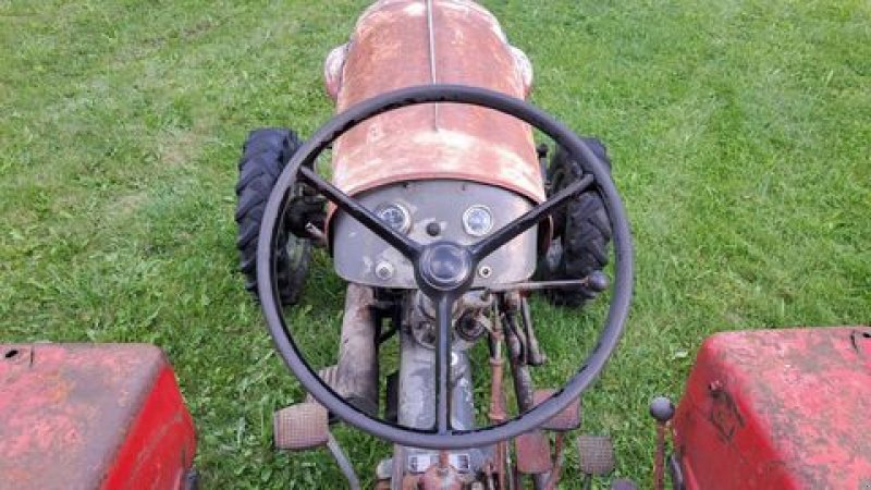 Traktor des Typs Lindner BF 22 A Allrad, Gebrauchtmaschine in Stainach (Bild 5)