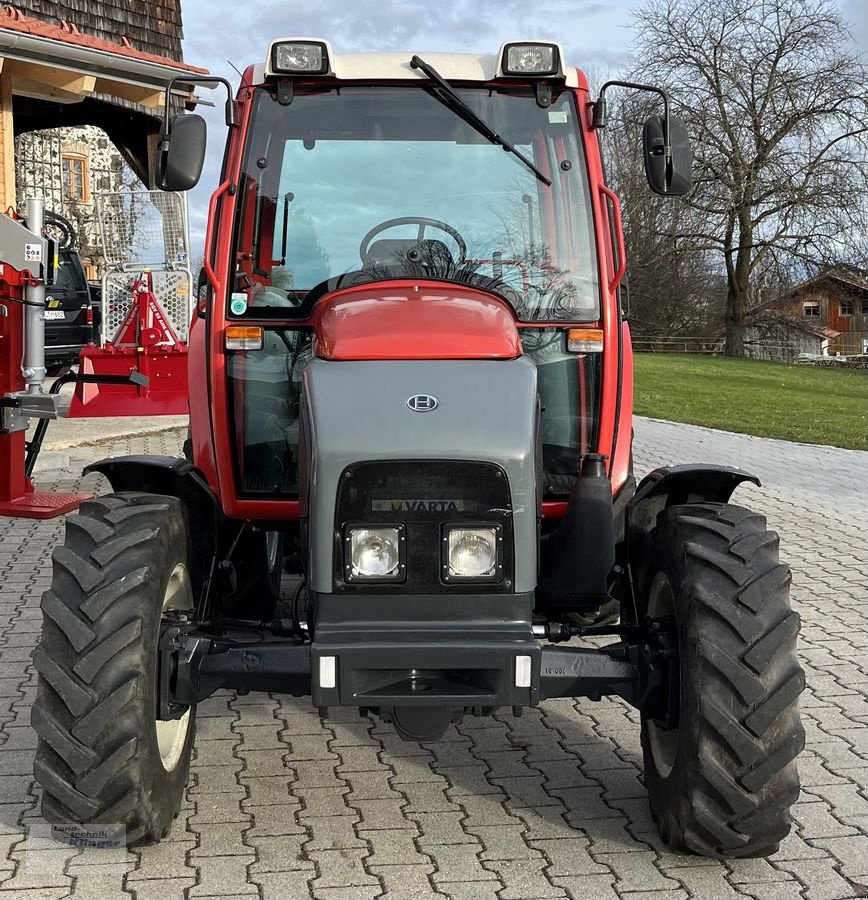 Traktor del tipo Lindner Geotrac 50 A, Gebrauchtmaschine en Teisendorf (Imagen 2)