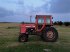 Traktor типа Massey Ferguson 1135, Gebrauchtmaschine в Egtved (Фотография 1)