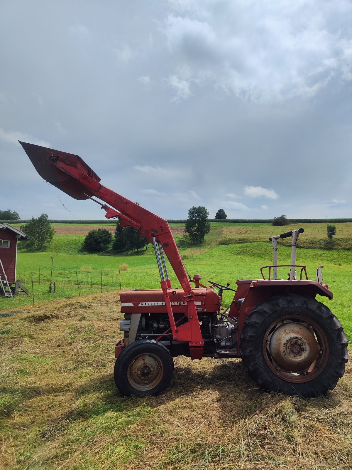 Traktor Türe ait Massey Ferguson 133, Gebrauchtmaschine içinde Schnaitsee (resim 1)