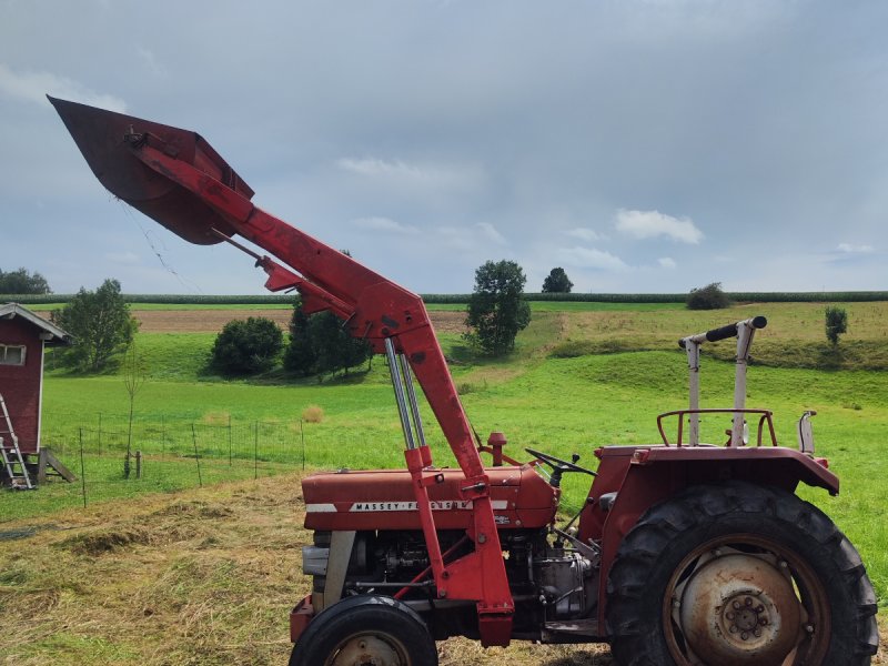 Traktor typu Massey Ferguson 133, Gebrauchtmaschine w Schnaitsee (Zdjęcie 1)