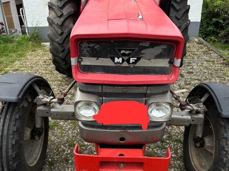 Traktor типа Massey Ferguson 133, Gebrauchtmaschine в Bad Wildungen (Фотография 1)