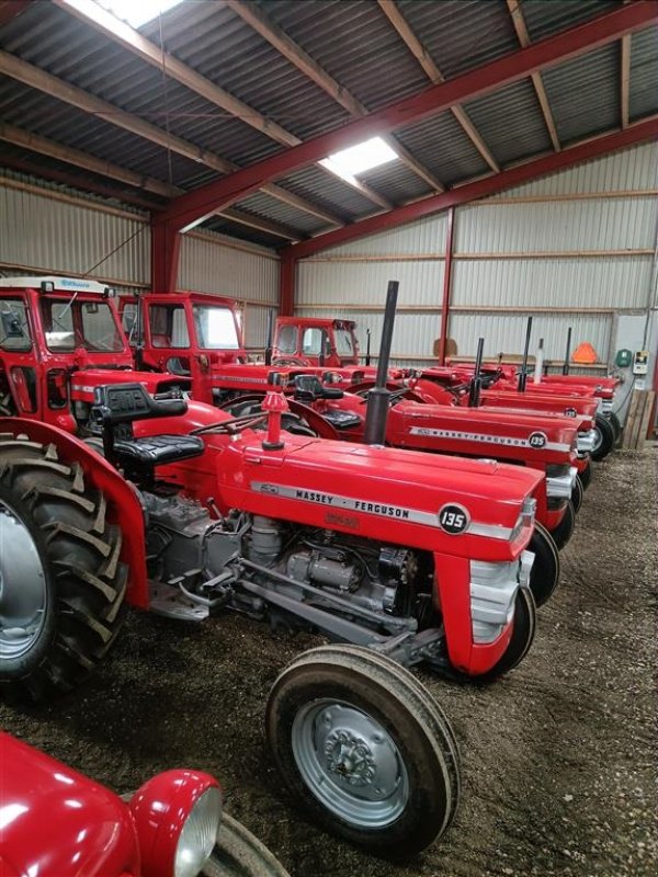 Traktor des Typs Massey Ferguson 135 , 3 CYL. Multi Power, Gebrauchtmaschine in Ejstrupholm (Bild 5)