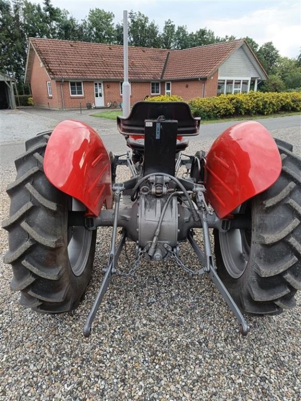 Traktor Türe ait Massey Ferguson 135 , 3 CYL. Multi Power, Gebrauchtmaschine içinde Ejstrupholm (resim 3)