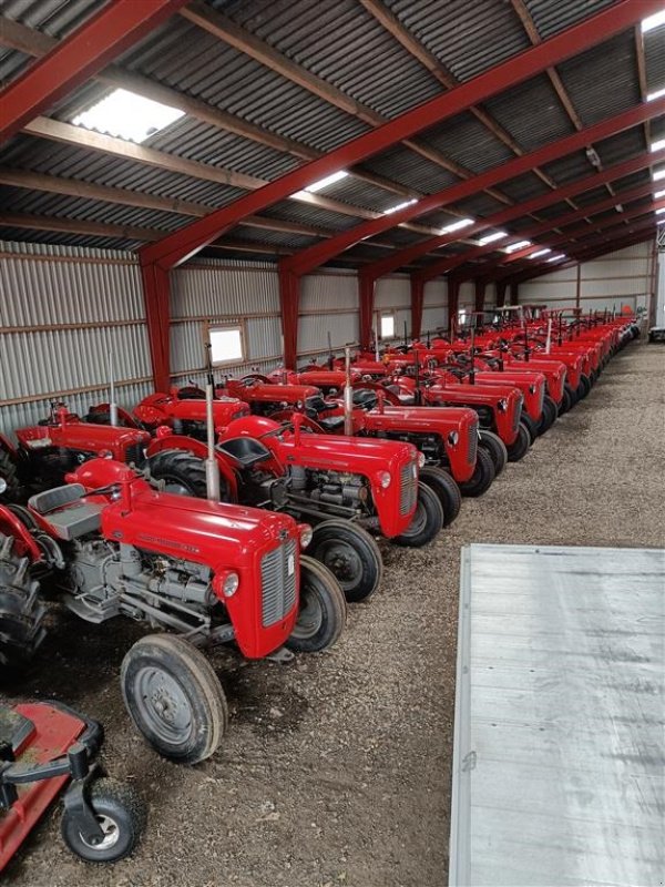 Traktor van het type Massey Ferguson 135 8 gears model, Gebrauchtmaschine in Ejstrupholm (Foto 6)