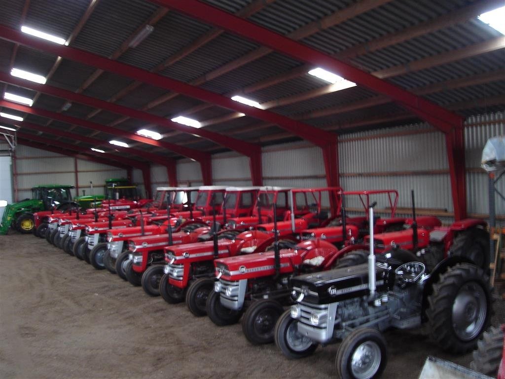 Traktor del tipo Massey Ferguson 135 8 gears model, Gebrauchtmaschine en Ejstrupholm (Imagen 6)