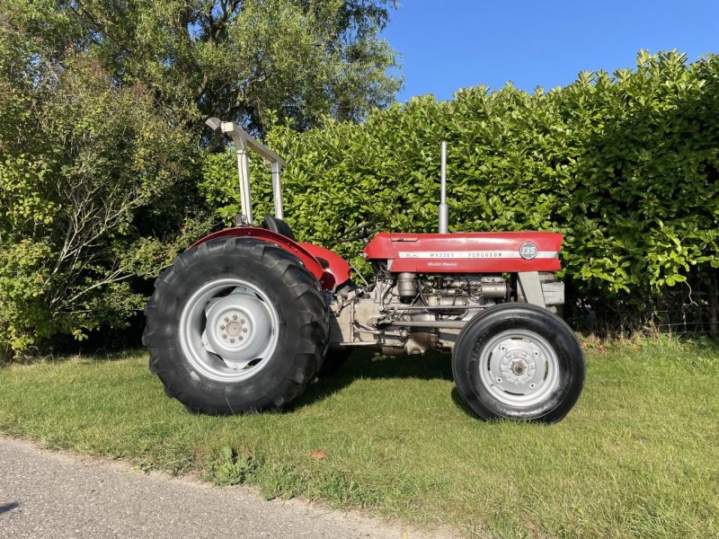 Traktor типа Massey Ferguson 135, Gebrauchtmaschine в Klaaswaal (Фотография 1)