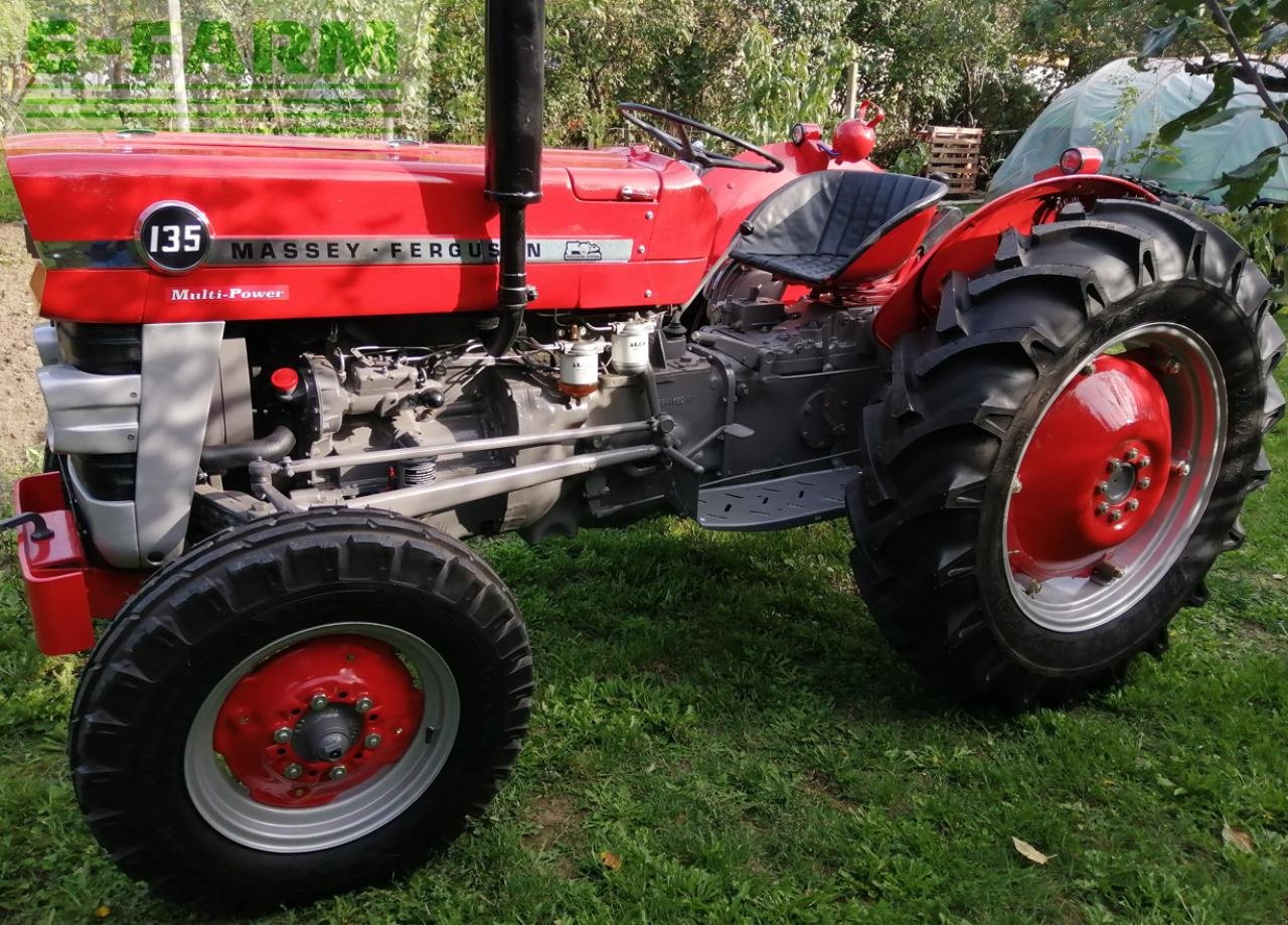 Traktor des Typs Massey Ferguson 135, Gebrauchtmaschine in Hamburg (Bild 1)