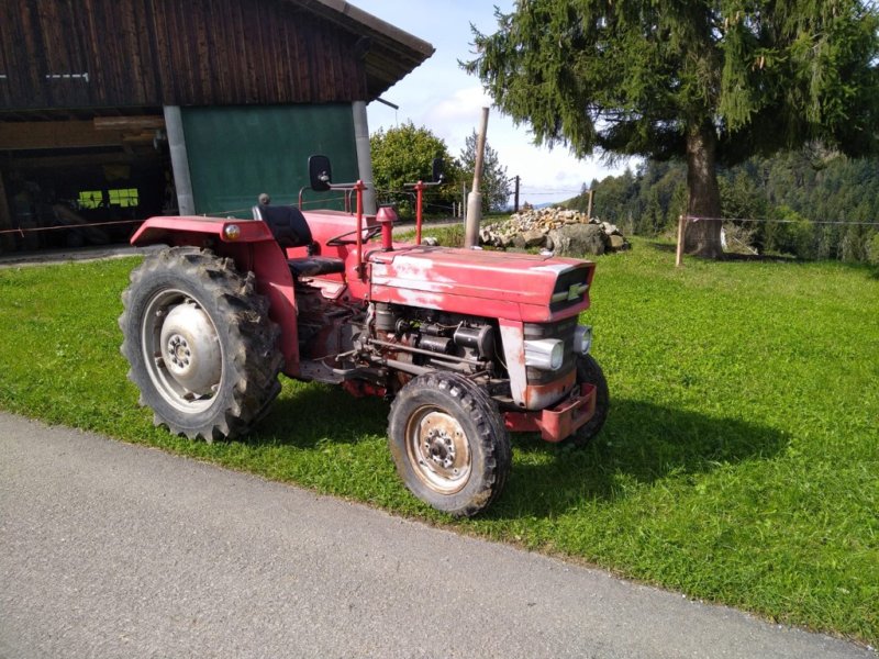 Traktor typu Massey Ferguson 135, Gebrauchtmaschine v Egg