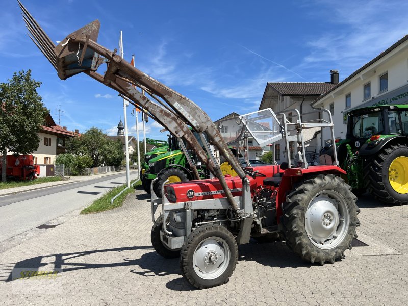 Traktor des Typs Massey Ferguson 135, Gebrauchtmaschine in Söchtenau