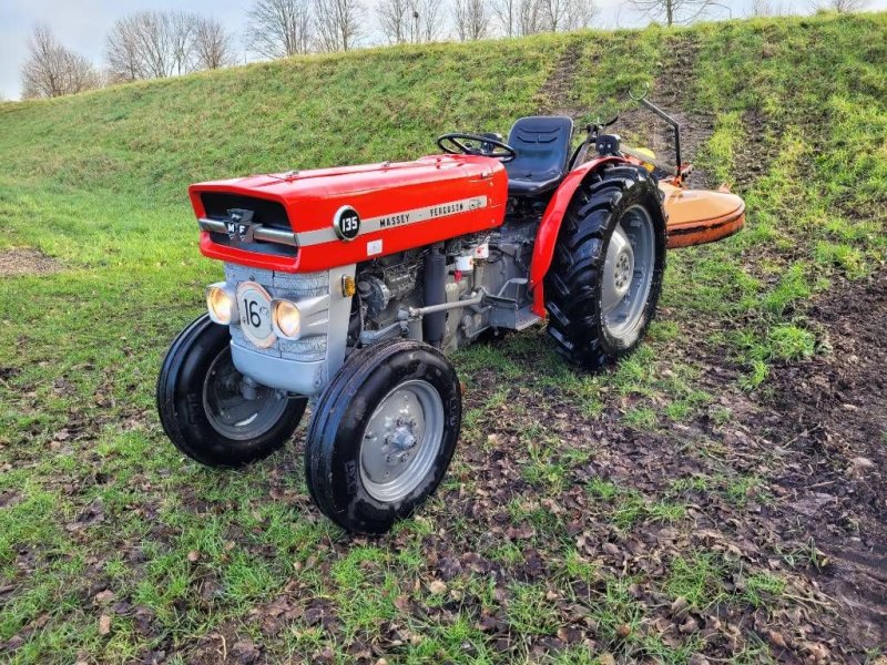 Traktor des Typs Massey Ferguson 135, Gebrauchtmaschine in Werkendam (Bild 1)