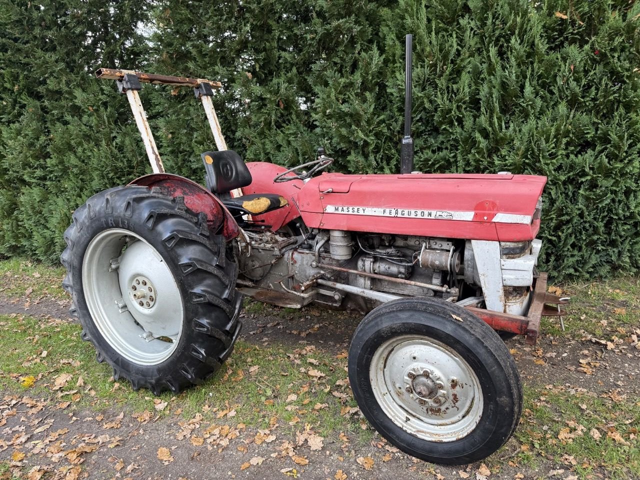 Traktor Türe ait Massey Ferguson 135, Gebrauchtmaschine içinde Wenum Wiesel (resim 1)