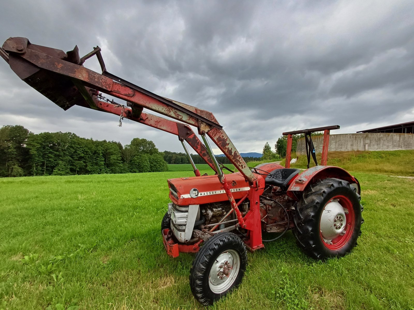 Traktor du type Massey Ferguson 135, Gebrauchtmaschine en Grattersdorf (Photo 1)