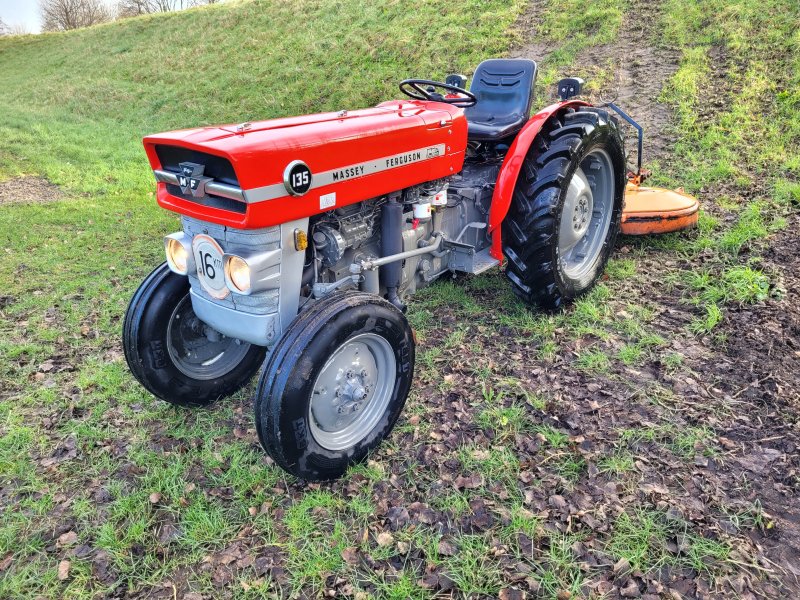 Traktor типа Massey Ferguson 135, Gebrauchtmaschine в Werkendam (Фотография 1)