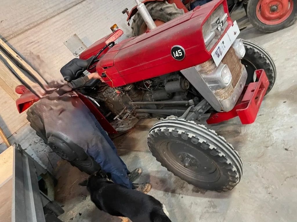 Traktor Türe ait Massey Ferguson 145, Gebrauchtmaschine içinde Wevelgem (resim 2)