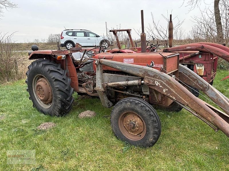 Traktor des Typs Massey Ferguson 158, Gebrauchtmaschine in Uelzen (Bild 1)