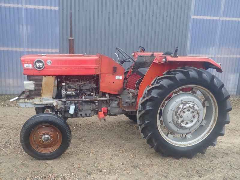 Traktor of the type Massey Ferguson 165, Gebrauchtmaschine in Viborg (Picture 1)