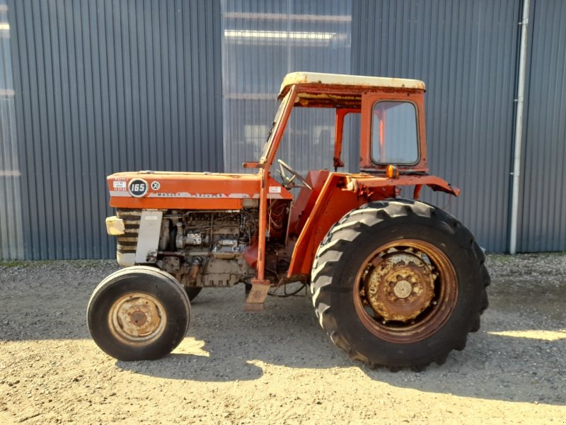 Traktor van het type Massey Ferguson 165, Gebrauchtmaschine in Viborg (Foto 1)