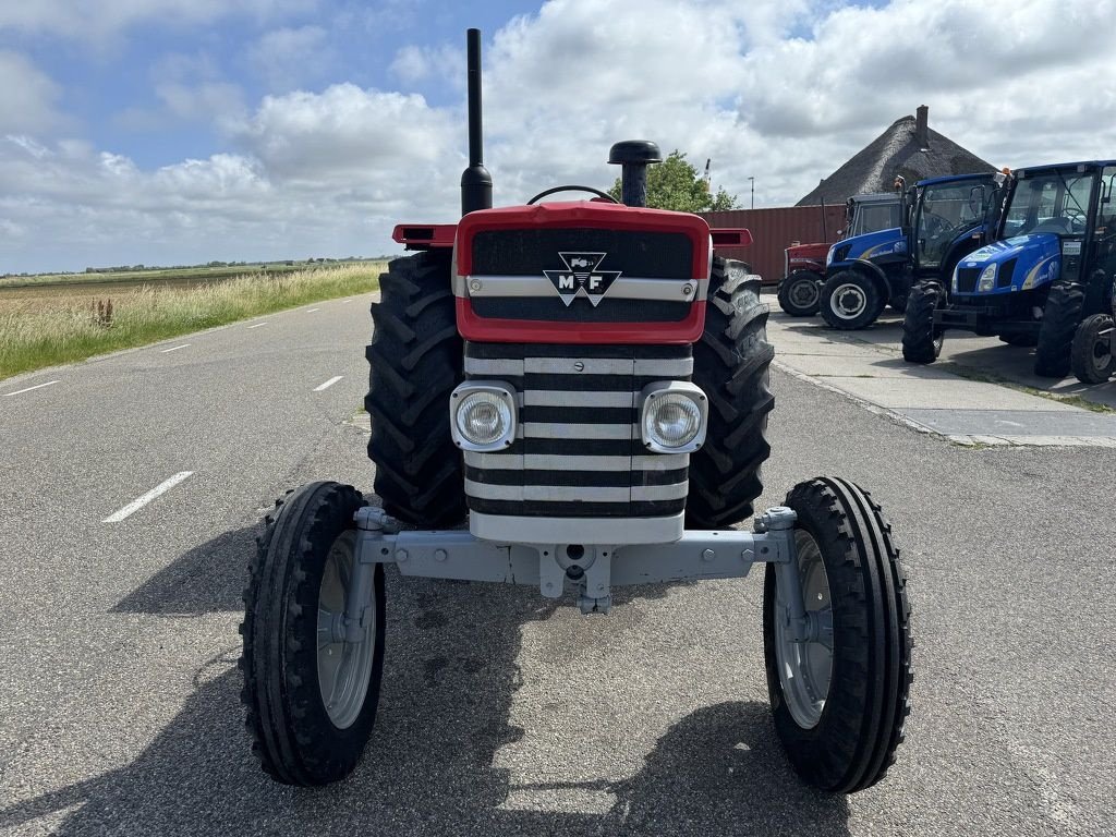 Traktor du type Massey Ferguson 165, Gebrauchtmaschine en Callantsoog (Photo 2)