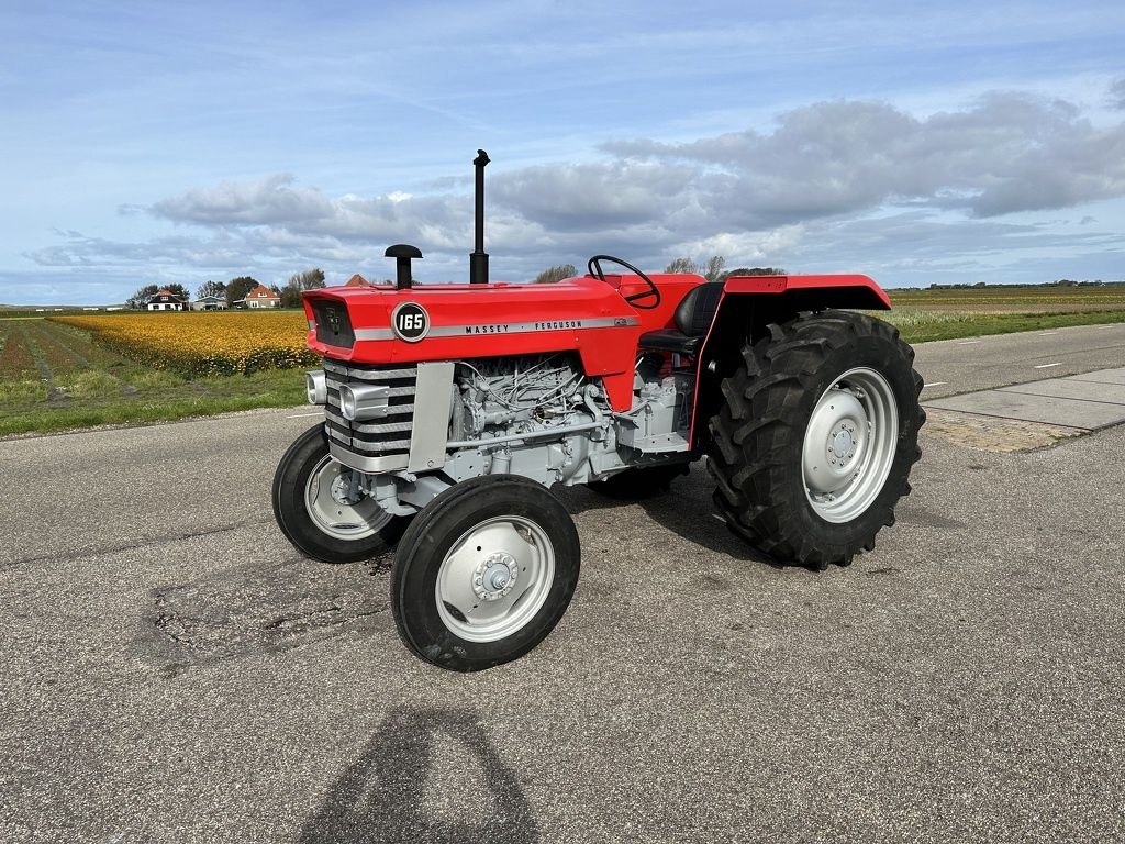 Traktor des Typs Massey Ferguson 165, Gebrauchtmaschine in Callantsoog (Bild 1)