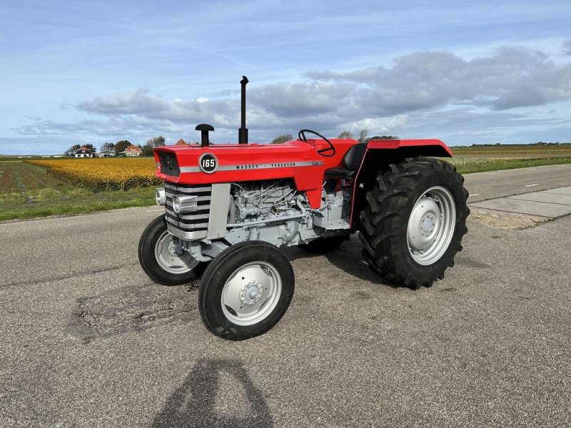 Traktor a típus Massey Ferguson 165, Gebrauchtmaschine ekkor: Callantsoog (Kép 1)