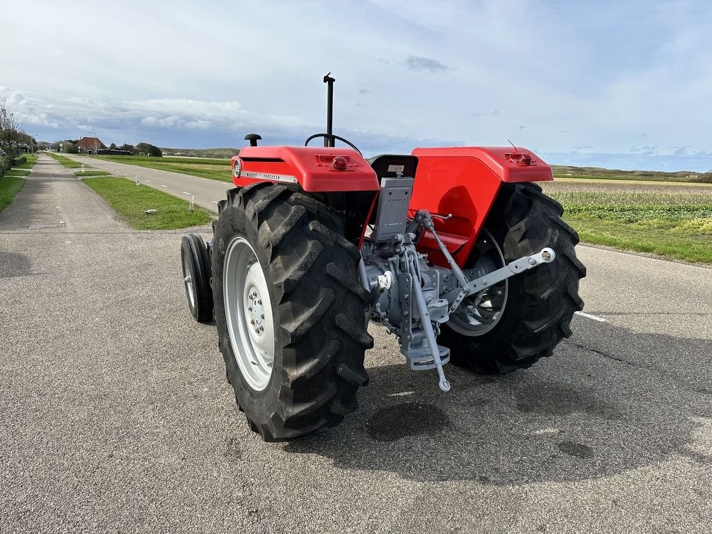 Traktor of the type Massey Ferguson 165, Gebrauchtmaschine in Callantsoog (Picture 6)