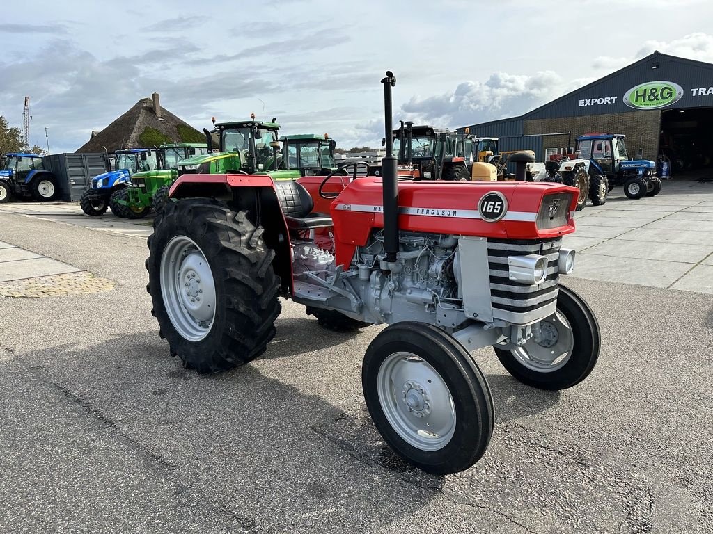 Traktor of the type Massey Ferguson 165, Gebrauchtmaschine in Callantsoog (Picture 3)