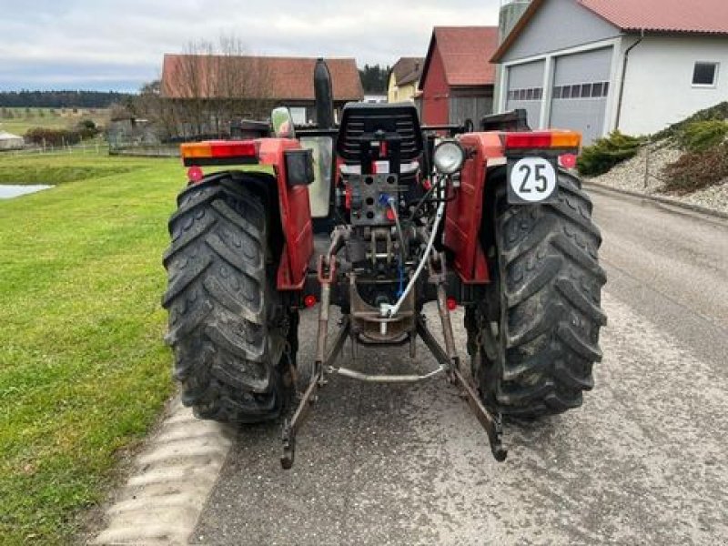 Traktor del tipo Massey Ferguson 253-2, Gebrauchtmaschine In NATTERNBACH (Immagine 4)