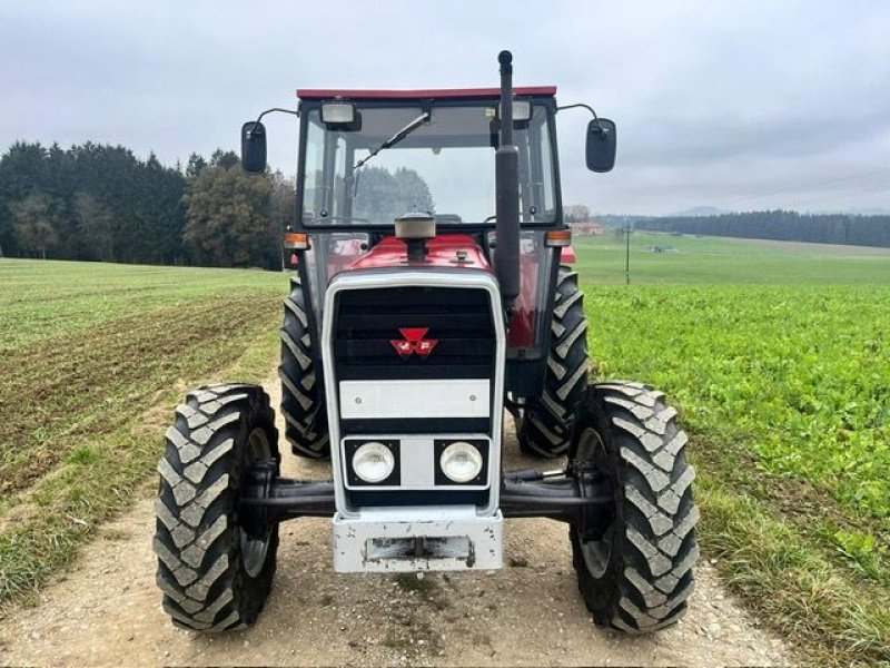 Traktor tip Massey Ferguson 254 AS, Gebrauchtmaschine in NATTERNBACH (Poză 7)