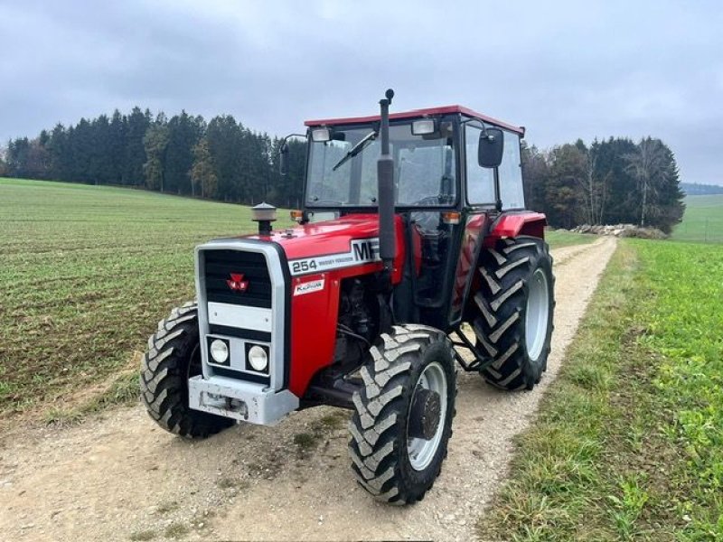 Traktor tip Massey Ferguson 254 AS, Gebrauchtmaschine in NATTERNBACH (Poză 16)