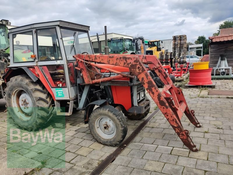 Traktor tip Massey Ferguson 254 S, Gebrauchtmaschine in Weiden i.d.Opf. (Poză 3)