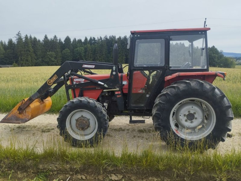 Traktor του τύπου Massey Ferguson 273-4, Gebrauchtmaschine σε NATTERNBACH (Φωτογραφία 1)