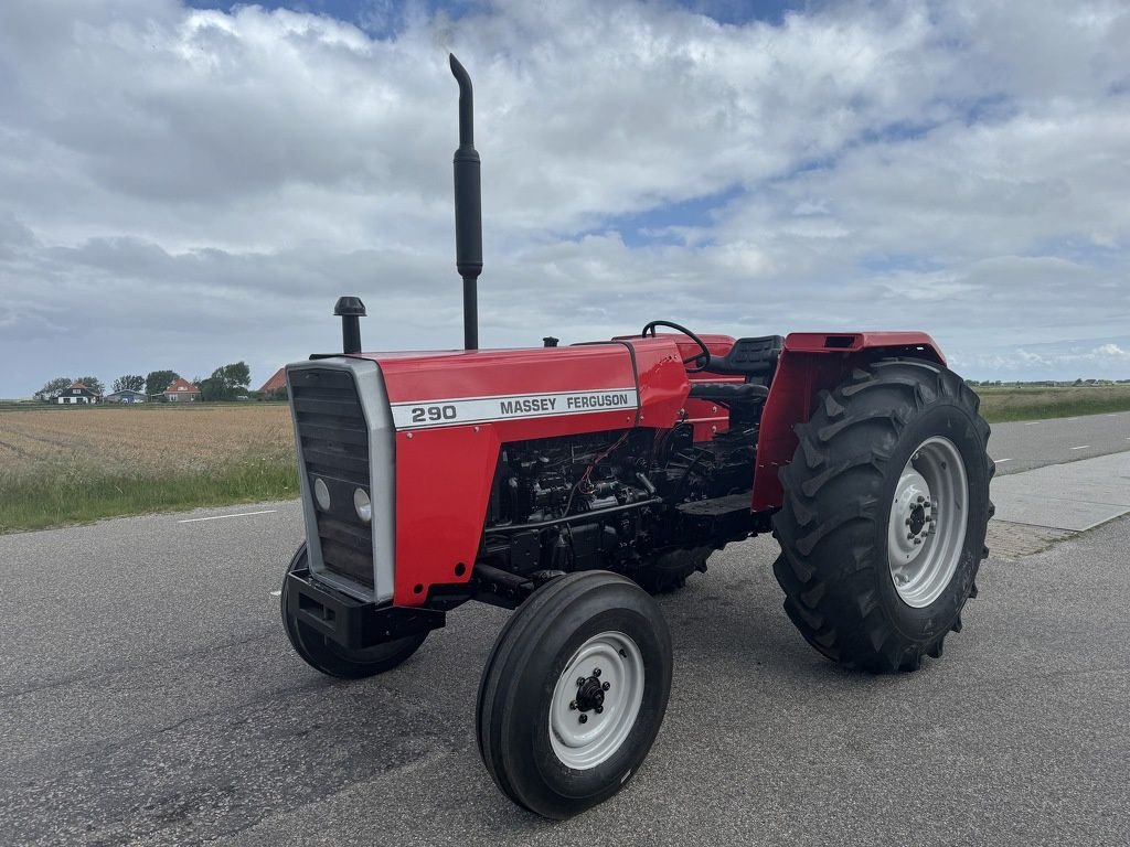 Traktor του τύπου Massey Ferguson 290, Gebrauchtmaschine σε Callantsoog (Φωτογραφία 1)