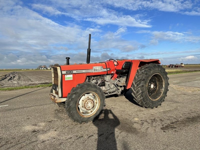 Traktor типа Massey Ferguson 290, Gebrauchtmaschine в Callantsoog (Фотография 1)