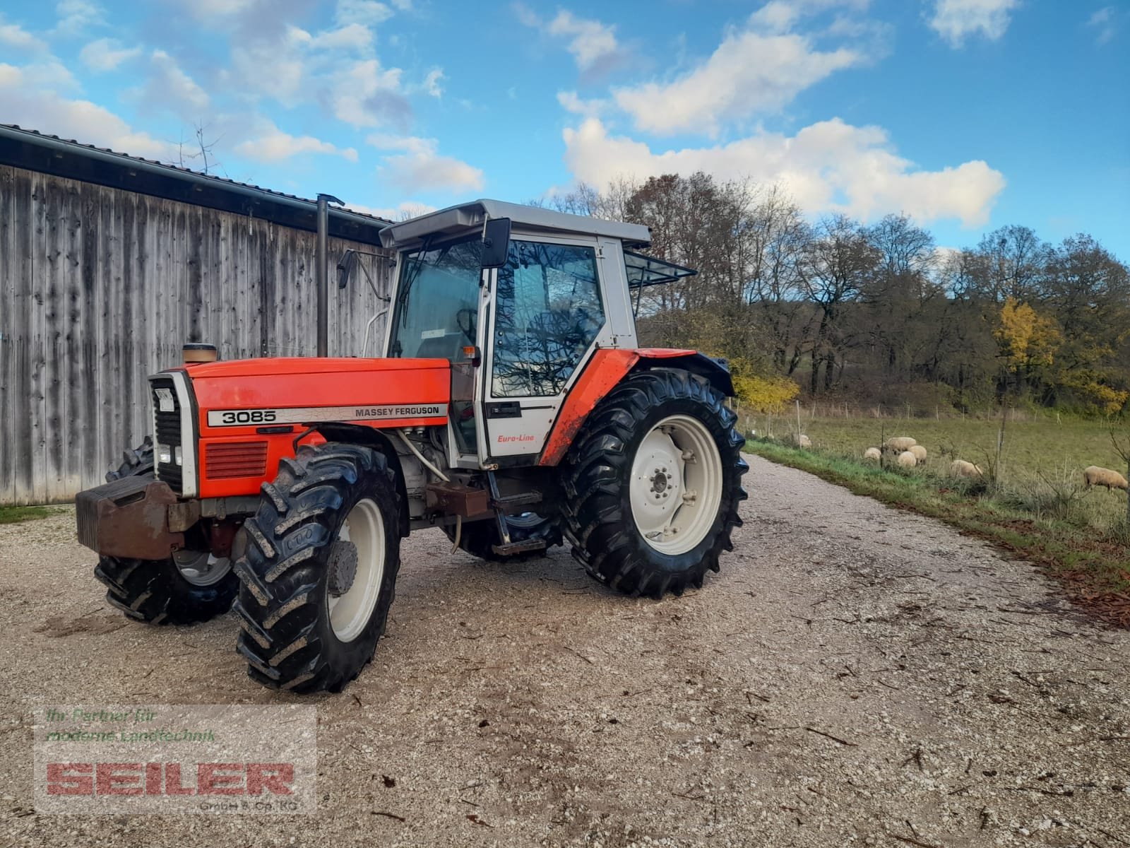 Traktor del tipo Massey Ferguson 3085 Euro-Line, Gebrauchtmaschine en Parsberg (Imagen 1)