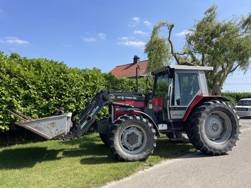 Traktor του τύπου Massey Ferguson 3085, Gebrauchtmaschine σε Klaaswaal