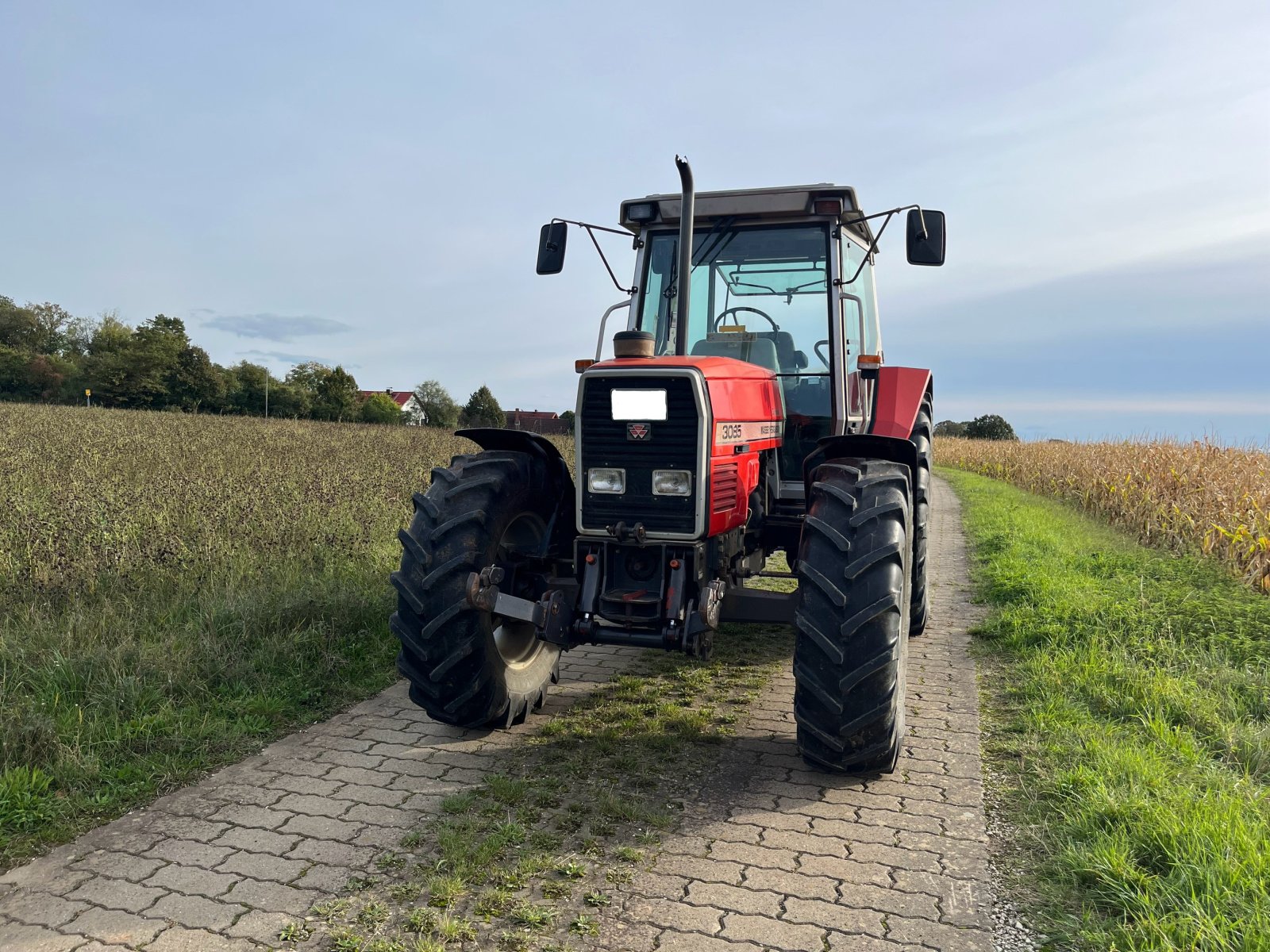 Traktor Türe ait Massey Ferguson 3085, Gebrauchtmaschine içinde Gräfenberg (resim 1)