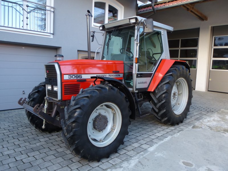 Traktor tipa Massey Ferguson 3095, Gebrauchtmaschine u Petersdorf (Slika 1)