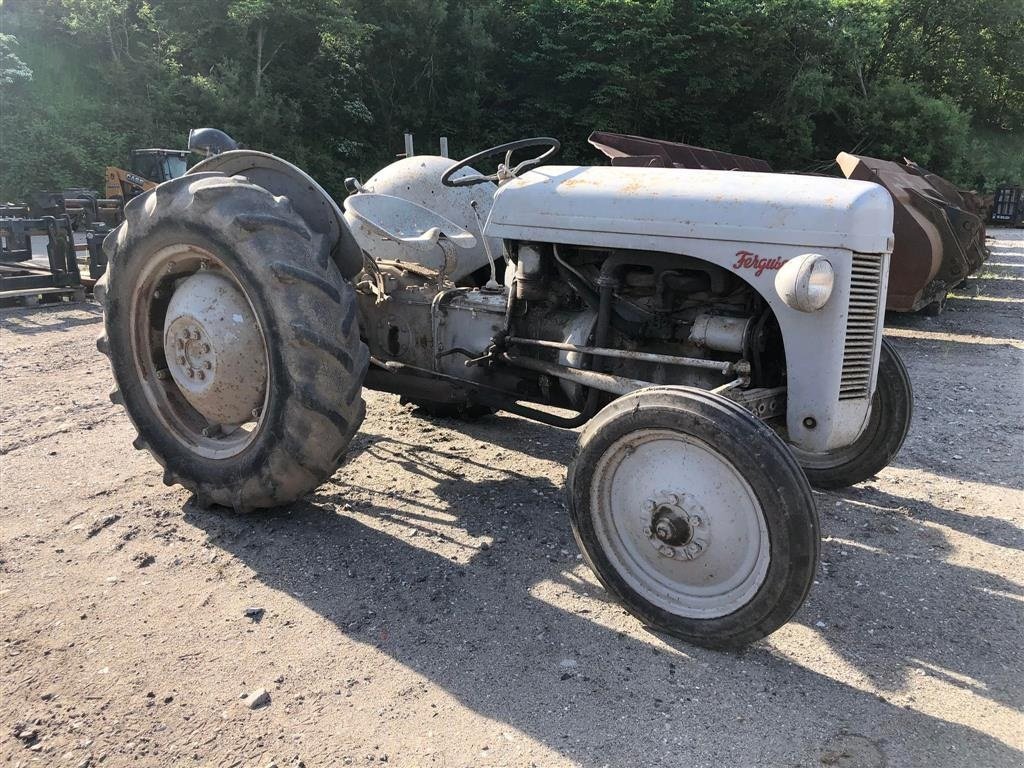 Traktor of the type Massey Ferguson 31 Benzin, Gebrauchtmaschine in Aalborg SV (Picture 2)