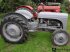 Traktor του τύπου Massey Ferguson 31 Benzin, Gebrauchtmaschine σε Hadsund (Φωτογραφία 2)