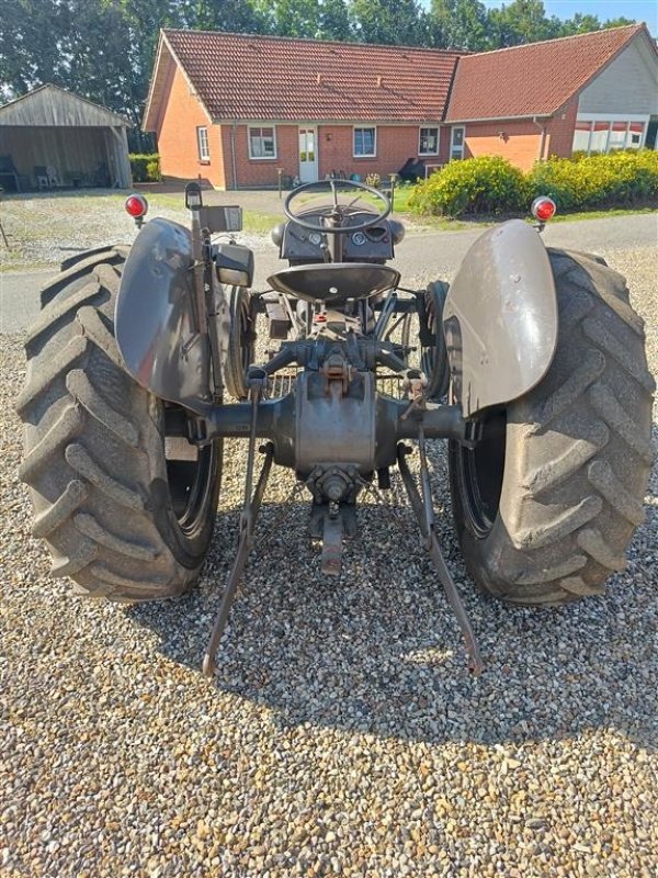 Traktor des Typs Massey Ferguson 31, Gebrauchtmaschine in Ejstrupholm (Bild 4)