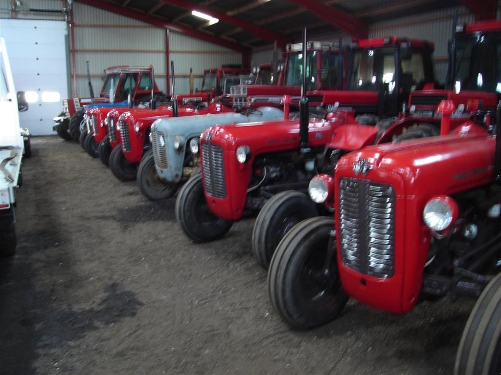 Traktor typu Massey Ferguson 31, Gebrauchtmaschine w Ejstrupholm (Zdjęcie 6)