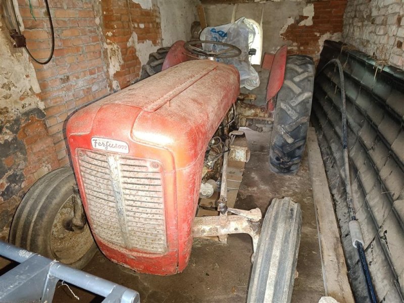 Traktor a típus Massey Ferguson 35 benzin eller en 31"  MOMSFRI, Gebrauchtmaschine ekkor: Egtved (Kép 1)