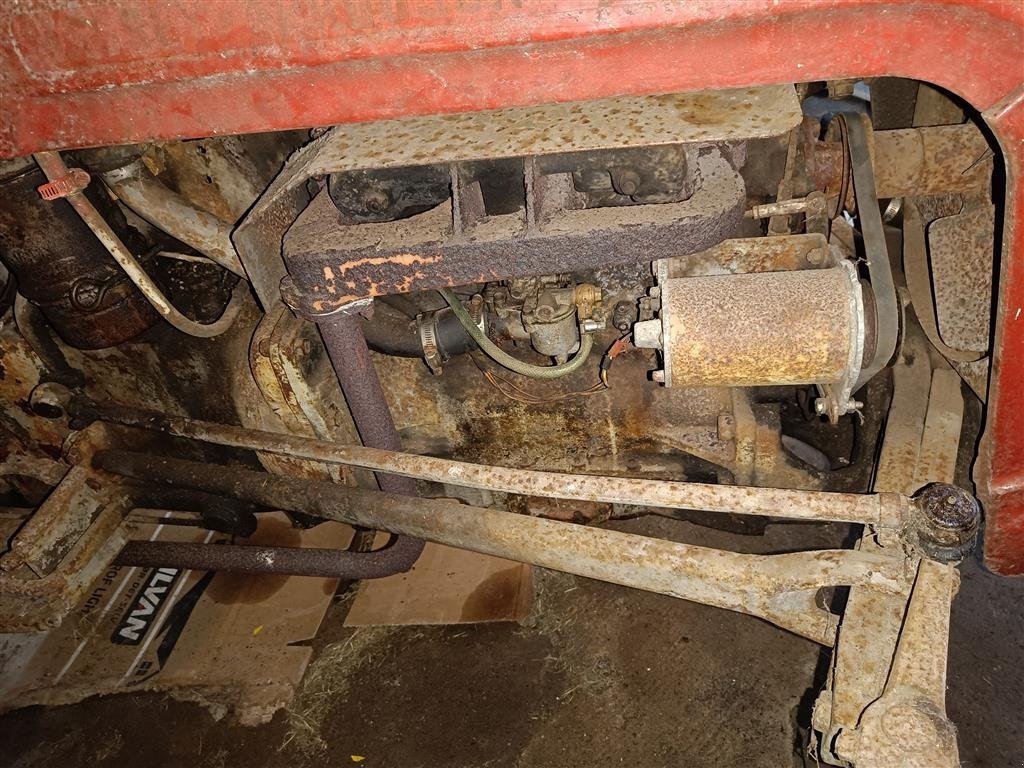 Traktor del tipo Massey Ferguson 35 benzin evt. plænetraktor i byt, Gebrauchtmaschine en Egtved (Imagen 5)