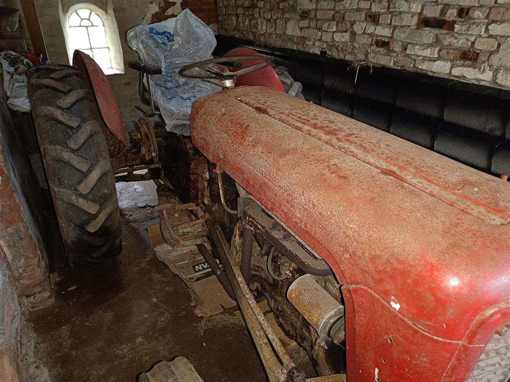 Traktor des Typs Massey Ferguson 35 benzin evt. plænetraktor i byt, Gebrauchtmaschine in Egtved (Bild 2)