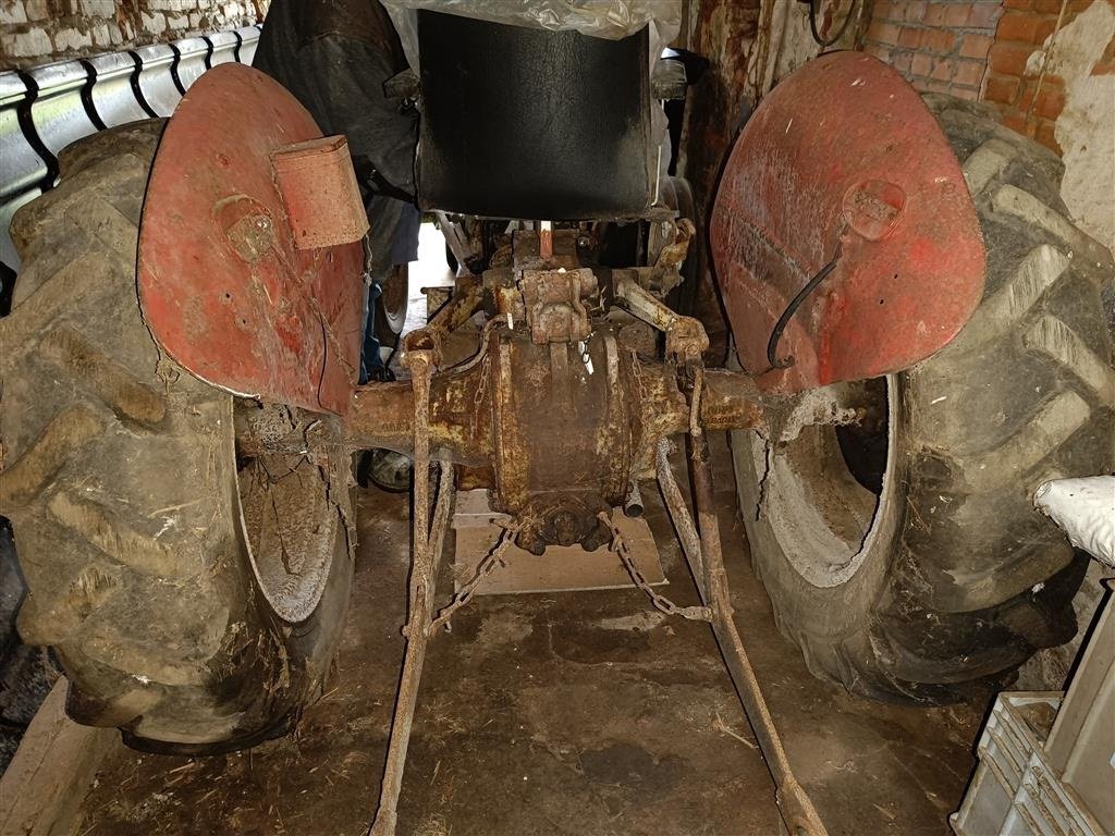 Traktor del tipo Massey Ferguson 35 benzin evt. plænetraktor i byt, Gebrauchtmaschine en Egtved (Imagen 3)