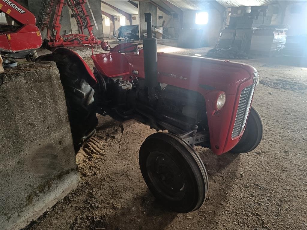 Traktor des Typs Massey Ferguson 35 benzin motor renoveret, Gebrauchtmaschine in Egtved (Bild 2)