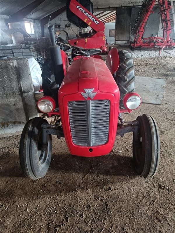 Traktor van het type Massey Ferguson 35 benzin motor renoveret, Gebrauchtmaschine in Egtved (Foto 3)