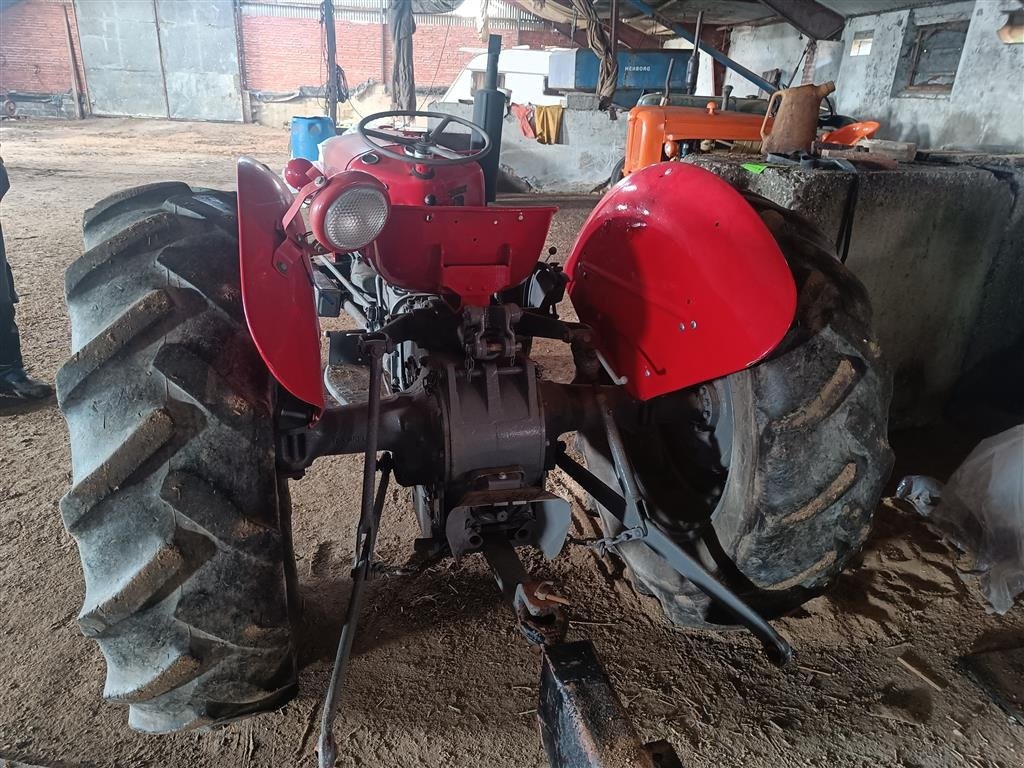 Traktor tip Massey Ferguson 35 benzin motor renoveret, Gebrauchtmaschine in Egtved (Poză 4)